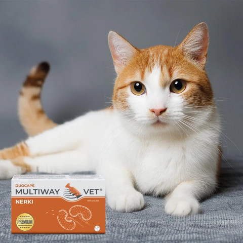 JM SANTE Multiway Vet Duocaps Kidneys - twist-off kapsle na ledviny pro psy a kočky – 60 ks - Fotogalerie 2