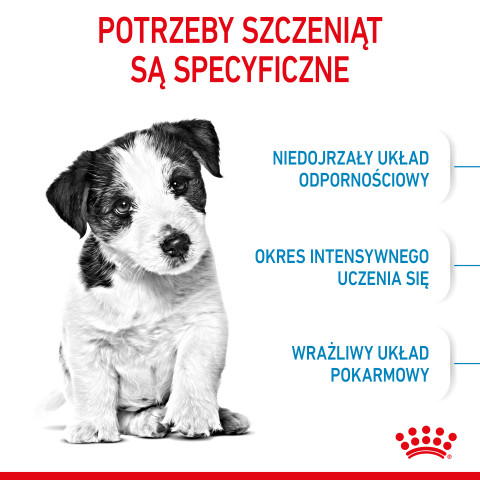 ROYAL CANIN Mini Puppy SHN - suché krmivo pro psy - 2 kg - Fotogalerie 8