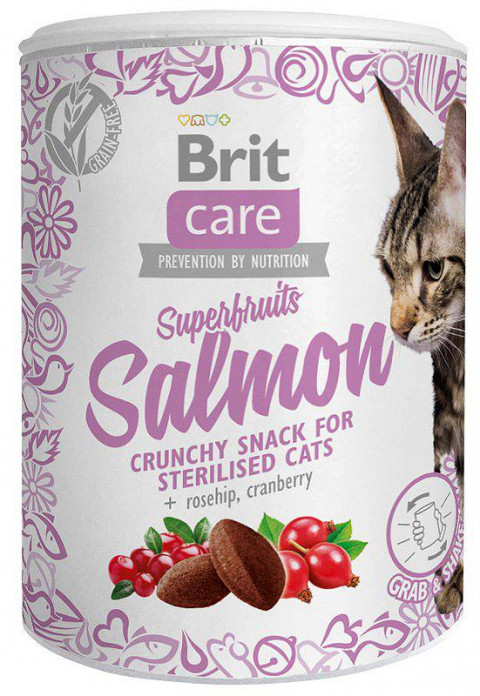 BRIT Care Superfruits Salmon - pamlsek pro kočky - 100 g - Fotogalerie 1
