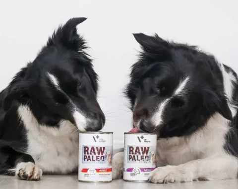 RAW PALEO Adult Monoprotein Beef - mokré krmivo pro psy - 800 g - Fotogalerie 2