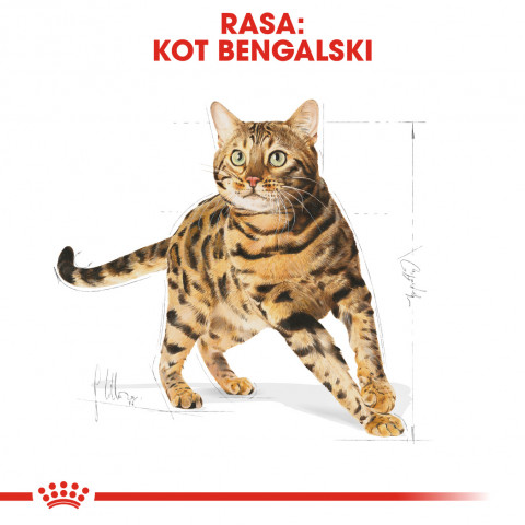 Royal Canin Bengal Adult suché krmivo pro kočky 2 kg Dospělý jedinec Drůbež, Zeleninová - Fotogalerie 9