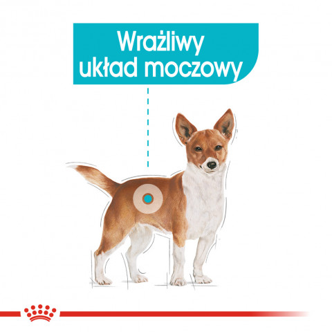 Royal Canin CCN Urinary Care Loaf - mokré krmivo pro dospělé psy - 12x85g - Fotogalerie 8