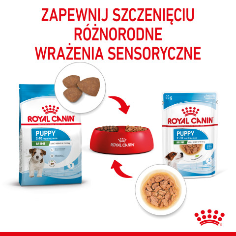 ROYAL CANIN SHN Mini Puppy in sauce - mokré krmivo pro štěňata - 12X85g - Fotogalerie 11