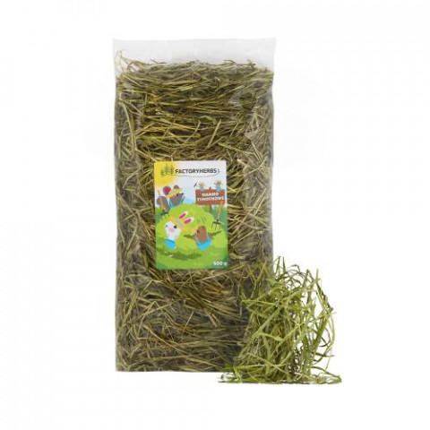 FACTORY HERBS Fresh timothy hay Harvest 2025 - lahůdka pro hlodavce a králíky - 500g - Fotogalerie 1