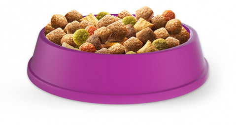 WHISKAS Adult s kuřecím – suché krmivo pro kočky – 2x14 kg - Fotogalerie 2