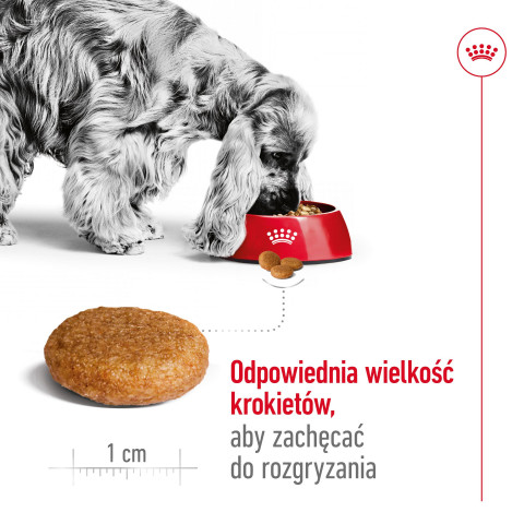 ROYAL CANIN Adult Medium - suché krmivo pro psy - 4kg - Fotogalerie 2