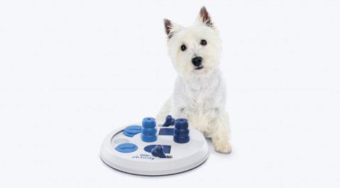 Trixie Hračka pro psy Dog Activity Flip Board - Fotogalerie 2