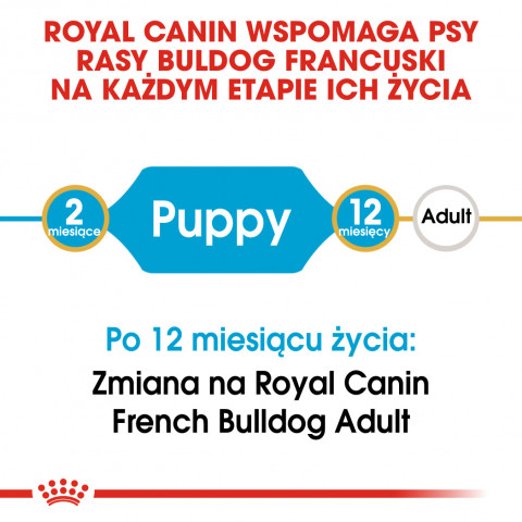 ROYAL CANIN French Bulldog Puppy - suché krmivo pro psy - 3 kg - Fotogalerie 4