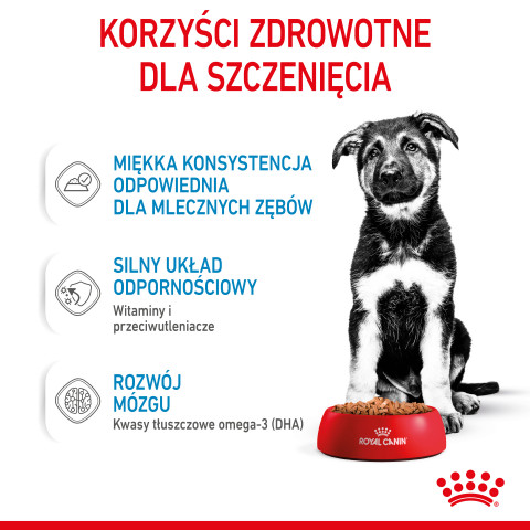 Royal Canin Maxi Puppy 10x140g - Fotogalerie 4