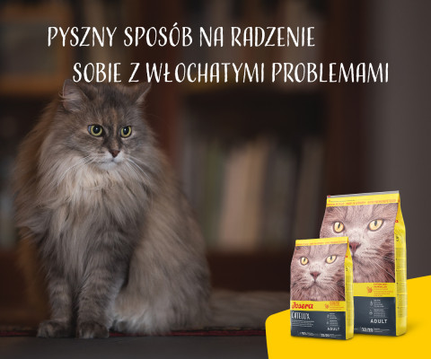 Josera Catelux suché krmivo pro kočky 2 kg Adult Kachna, Drůbež - Fotogalerie 5