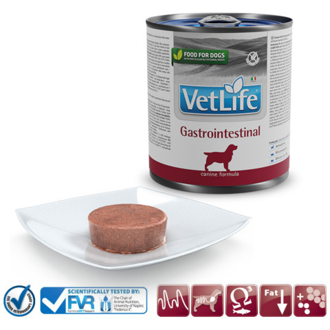 FARMINA Vet Life Gastrointestinal – mokré krmivo pro dospělé psy 300g - Fotogalerie 2