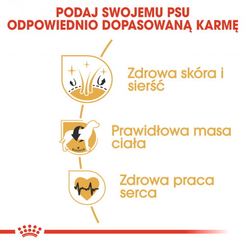 ROYAL CANIN Adult Cocker - suché krmivo pro psy - 12 kg - Fotogalerie 4