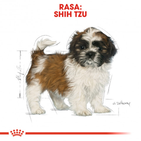 ROYAL CANIN Shih Tzu Puppy - suché krmivo pro psy - 1,5 kg - Fotogalerie 8