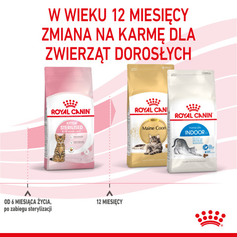 Royal Canin Kitten Sterilised suché krmivo pro kočky 3,5 kg Kotě Drůbež - Fotogalerie 2