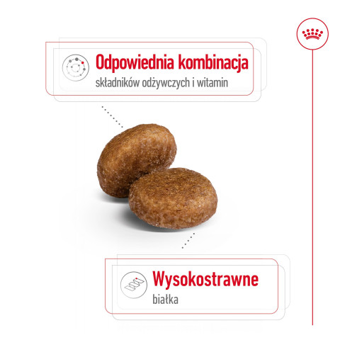 ROYAL CANIN Maxi Adult 5+ - suché krmivo pro psy - 15 kg - Fotogalerie 10