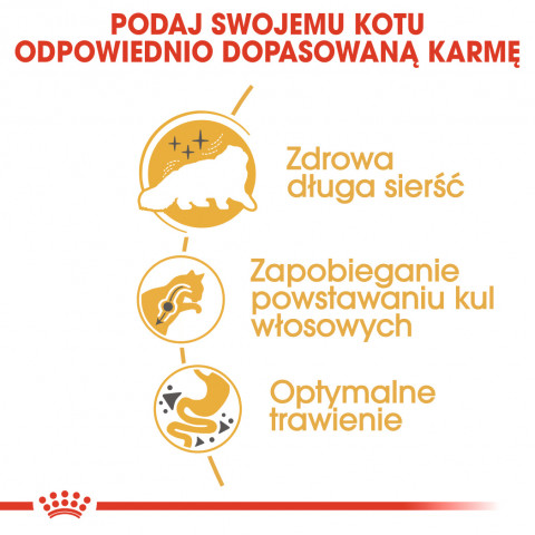 Royal Canin Persian suché krmivo pro kočky 4 kg Dospělý jedinec Kukuřice, Drůbež - Fotogalerie 7