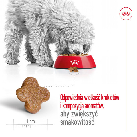 ROYAL CANIN Mini Adult +8 - suché krmivo pro psy - 2 kg - Fotogalerie 7
