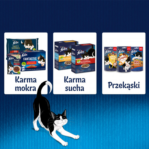 Felix Fantastic králík, jehněčí - mokré krmivo pro kočky 340g (4x 85g) - Fotogalerie 5