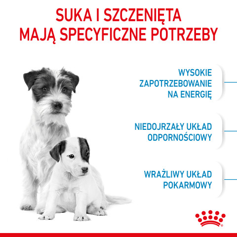 ROYAL CANIN SHN Mini Starter Mother & Babydog - suché krmivo pro psy - 4 kg - Fotogalerie 3