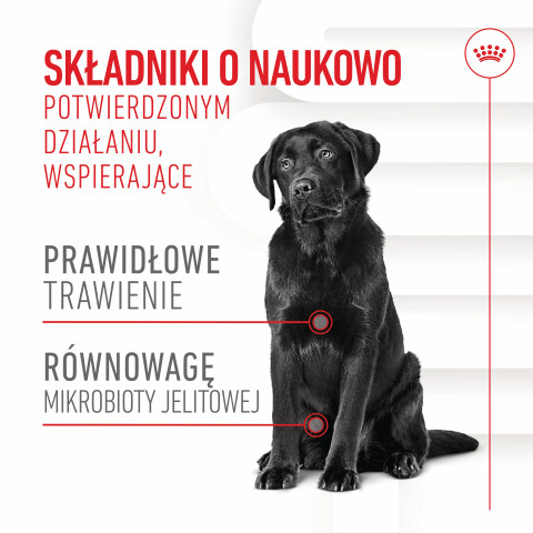ROYAL CANIN Supplements Dog Digestion Adult - vitamíny pro psa - 160g - Fotogalerie 4