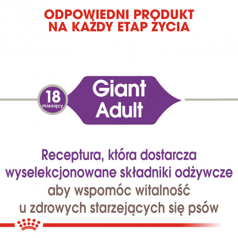 ROYAL CANIN Giant Adult - suché krmivo pro psy - 15 kg - Fotogalerie 7