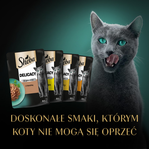 SHEBA Delicacy Drobiowe Smaki w galaretce - mokra karma dla kota - 40x85 g - Fotogalerie 8