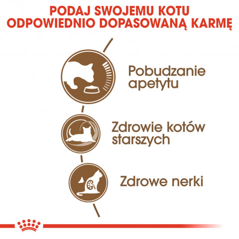 ROYAL CANIN FHN Senior Ageing 12+ - suché krmivo pro kočky - 4 kg - Fotogalerie 3