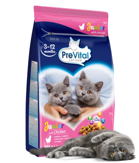 PREVITAL Junior Chicken - suché krmivo pro kočky - 950g - Fotogalerie 2