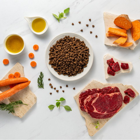 RAW PALEO Ultra Medium&Large Adult Beef - suché krmivo pro psy - 2 kg - Fotogalerie 5