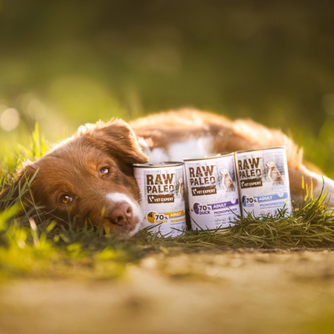 RAW PALEO Adult Monoprotein Duck - mokré krmivo pro psy - 400 g - Fotogalerie 3