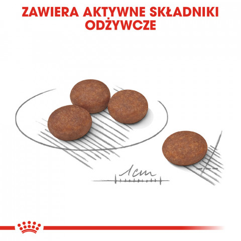 ROYAL CANIN Mini Digestive Care - suché krmivo pro dospělé psy malých plemen - 1kg - Fotogalerie 7