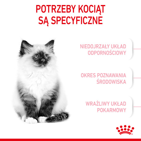 ROYAL CANIN Kitten - suché krmivo pro kočky - 2 kg - Fotogalerie 5