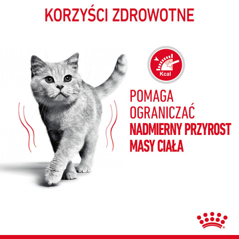 ROYAL CANIN FCN Light Weight Care v želé - vlhké krmivo pro dospělé kočky - 12x85g - Fotogalerie 14