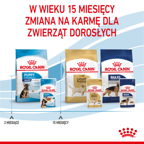 Royal Canin Maxi Puppy 10x140g - Fotogalerie 2