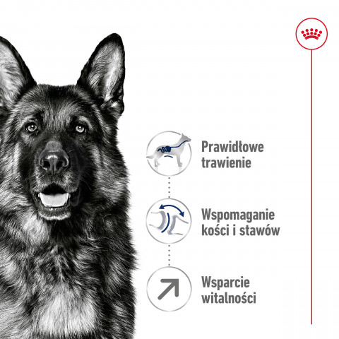 ROYAL CANIN Maxi Adult 5+ - suché krmivo pro psy - 15 kg - Fotogalerie 6