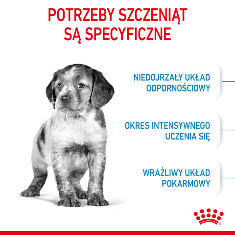 Royal Canin Medium Puppy 4 kg Štěně Kukuřice, Drůbež - Fotogalerie 11