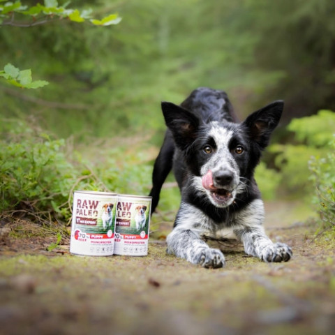 RAW PALEO Puppy Monoprotein Beef - mokré krmivo pro štěňata - 400 g - Fotogalerie 5