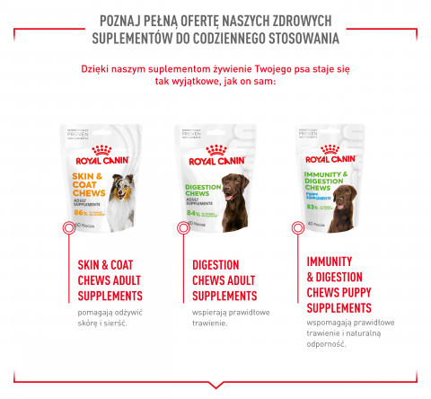 ROYAL CANIN Supplements Dog Joint & Ageing Adult - vitamíny pro psa - 240g - Fotogalerie 6