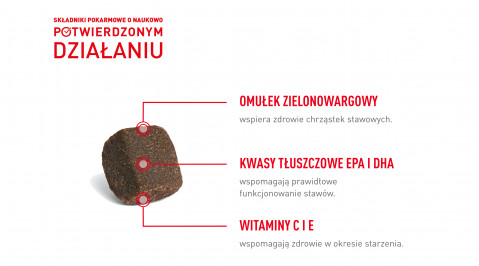 ROYAL CANIN Supplements Dog Joint & Ageing Adult - vitamíny pro psa - 240g - Fotogalerie 4