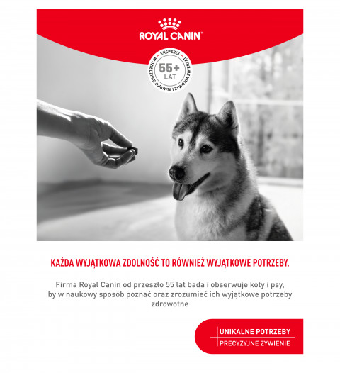 ROYAL CANIN Supplements Dog Joint & Ageing Adult - vitamíny pro psa - 240g - Fotogalerie 5