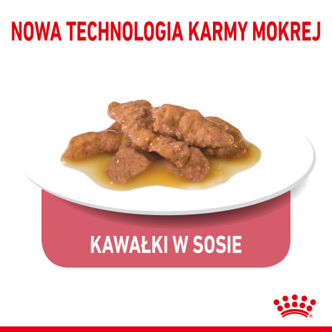 ROYAL CANIN Indoor Sterilized - Mokré krmivo pro kočky - Kousky v omáčce 12x85 g - Fotogalerie 5