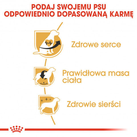 Krmivo Royal Canin SHN Breed Cavalier K C 1,5 kg - Fotogalerie 6