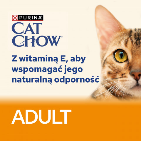  PURINA Cat Chow Chicken, Zucchini - vlhké krmivo pro kočky - 10x85 g - Fotogalerie 2