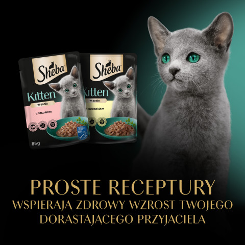 SHEBA Kitten Selection of Flavors in omáčka - mokré krmivo pro kočky - 40x85 g - Fotogalerie 12