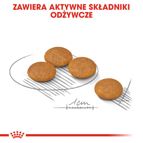 ROYAL CANIN Mini Dermacomfort - suché krmivo pro dospělé psy malých plemen s citlivou kůží náchylnou k podráždění - 3kg - Fotogalerie 5