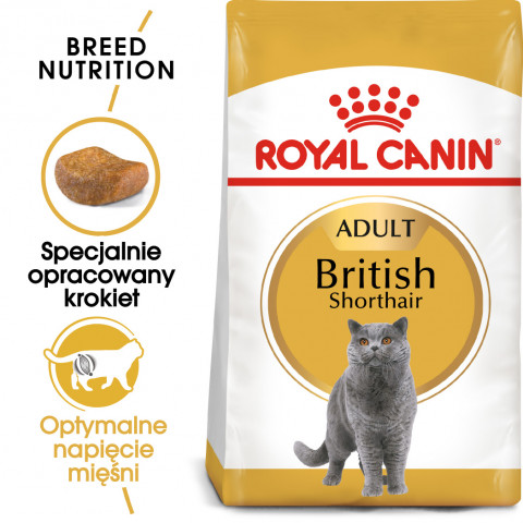 Royal Canin British Shorthair Adult suché krmivo pro kočky 4 kg Dospělý jedinec - Fotogalerie 3