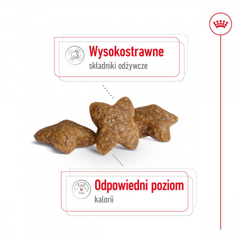 ROYAL CANIN Adult Mini S - suché krmivo pro psy - 8kg - Fotogalerie 5