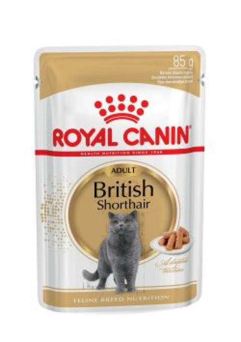 ROYAL CANIN British Shorthair balení 12x85g - Fotogalerie 11
