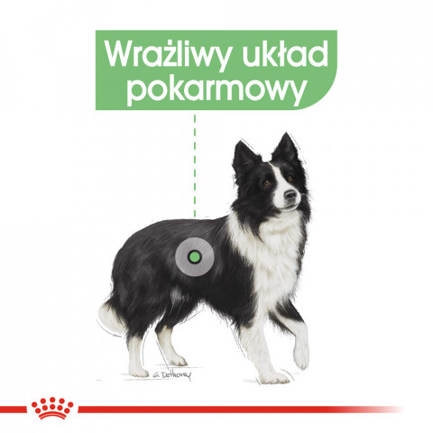 ROYAL CANIN CCN Medium Digestive Care - suché krmivo pro psy - 3 kg - Fotogalerie 8