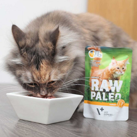 RAW PALEO Adult Cat Turkey - mokré krmivo pro kočky - 100 g - Fotogalerie 3